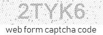 captcha security