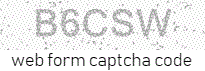 Web Form Code