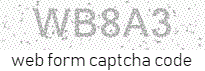 Web Form Code