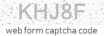 captcha email form