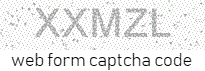 Web Form Code