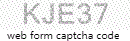 Web Form Protection Code