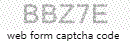 Web Form Protection Code