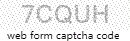 Web Form Protection Code