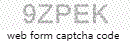 Web Form Processing Code