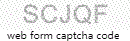 Web Form Protection Code
