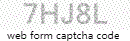 Web Form Code