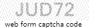 Web Form Protection Code