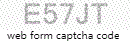 Web Form Protection Code