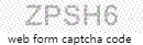 Web Form Processing Code