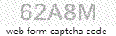 Web Form Code