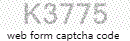 Web Form Processing Code