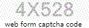 Web Form Protection Code