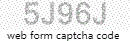 Web Form Protection Code