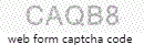 Web Form Code