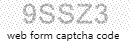 Web Form Processing Code