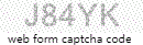 Web Form Protection Code