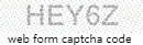 Web Form Code