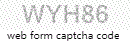 Web Form Protection Code
