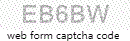 Web Form Code