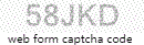 Web Form Protection Code