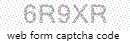 Web Form Protection Code