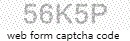 Web Form Protection Code