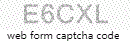 Web Form Protection Code