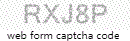 Web Form Processing Code