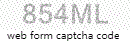 Web Form Code