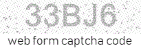 Web Form Protection Code