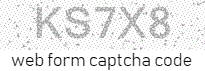 Web Form Protection Code