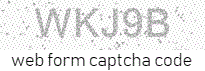 Web Form Protection Code