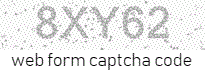 Web Form Protection Code