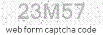 Web Form Processing Code
