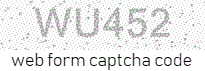 Web Form Protection Code