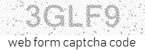 Web Form Protection Code