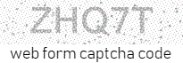 Web Form Protection Code