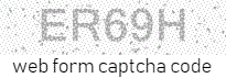 Web Form Protection Code
