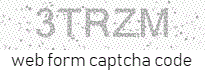 Web Form Protection Code