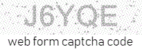 Web Form Protection Code