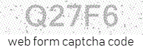 Web Form Protection Code