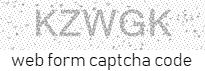 Web Form Protection Code