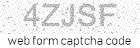 Web Form Protection Code