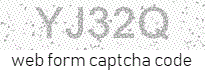 Web Form Processing Code