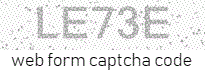 Web Form Processing Code