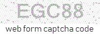 Web Form Protection Code
