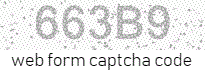Web Form Protection Code