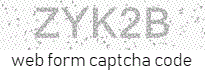 Web Form Protection Code