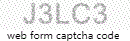 Web Form Code